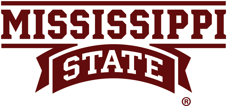 Mississippi State Bulldogs 2009-Pres Wordmark Logo 01 iron on paper